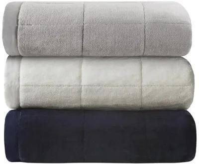 Belen Kox Coleman Reversible Down Alternative Blanket, Belen Kox