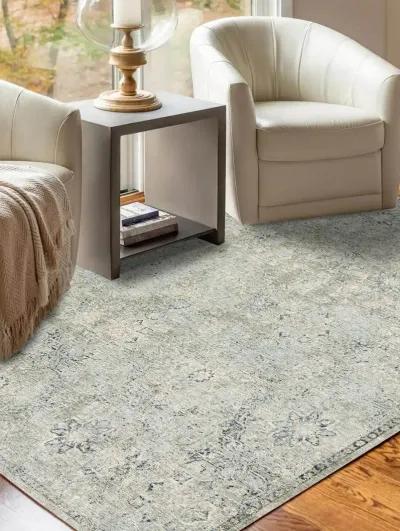 Regal RG4 Sky 2'3" x 7'10" Rug