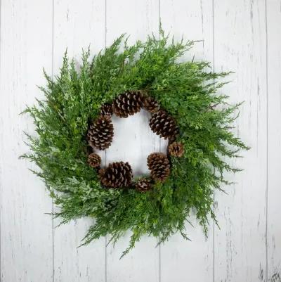 Frosted Cedar and Pine Cone Artificial Christmas Wreath  26-Inch  Unlit