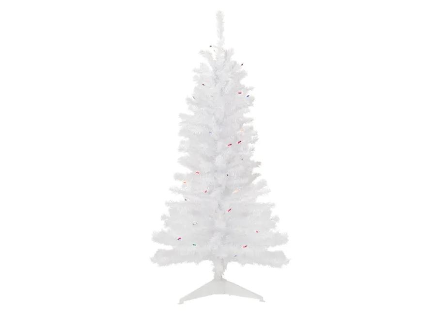 4' Pre-Lit Woodbury White Pine Slim Artificial Christmas Tree  Multi Lights