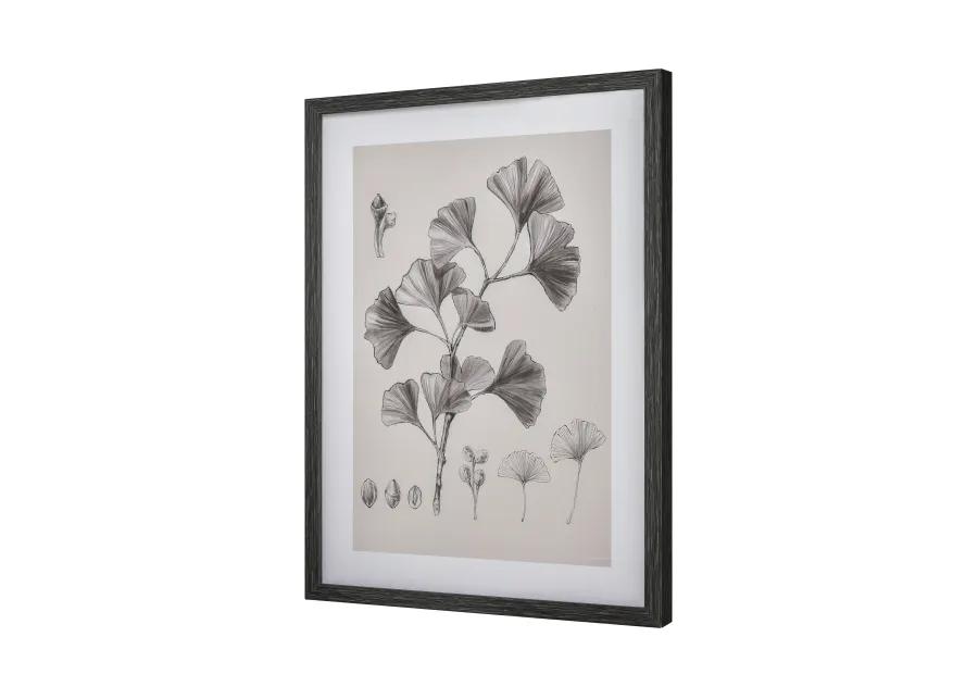 Ginkgo Botanic Wall Art