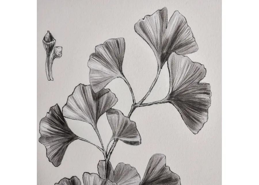 Ginkgo Botanic Wall Art