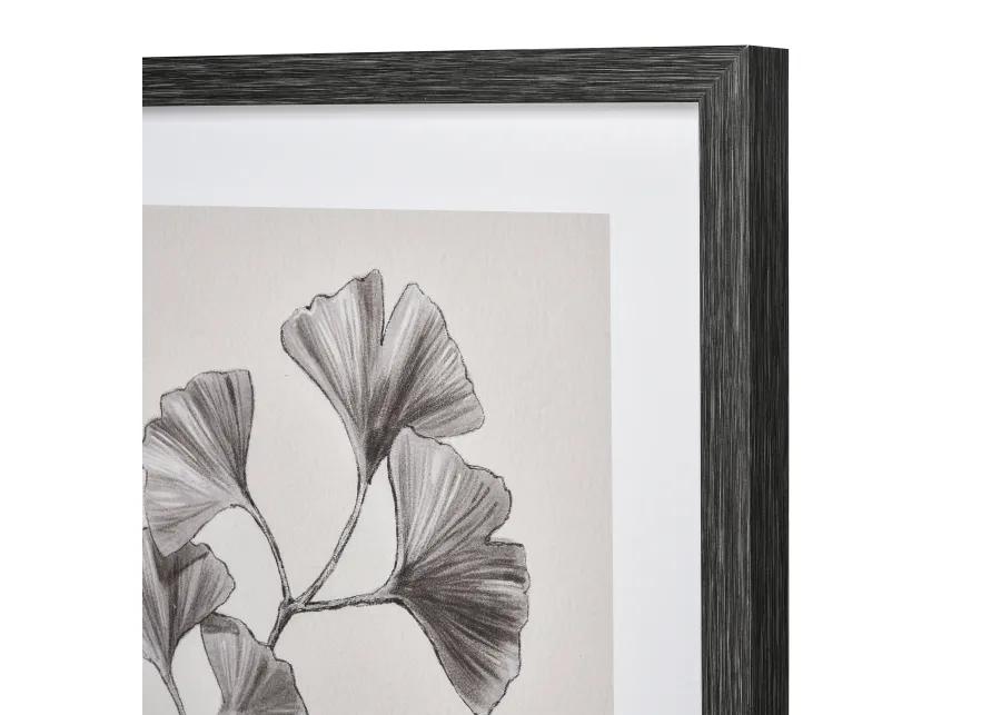 Ginkgo Botanic Wall Art