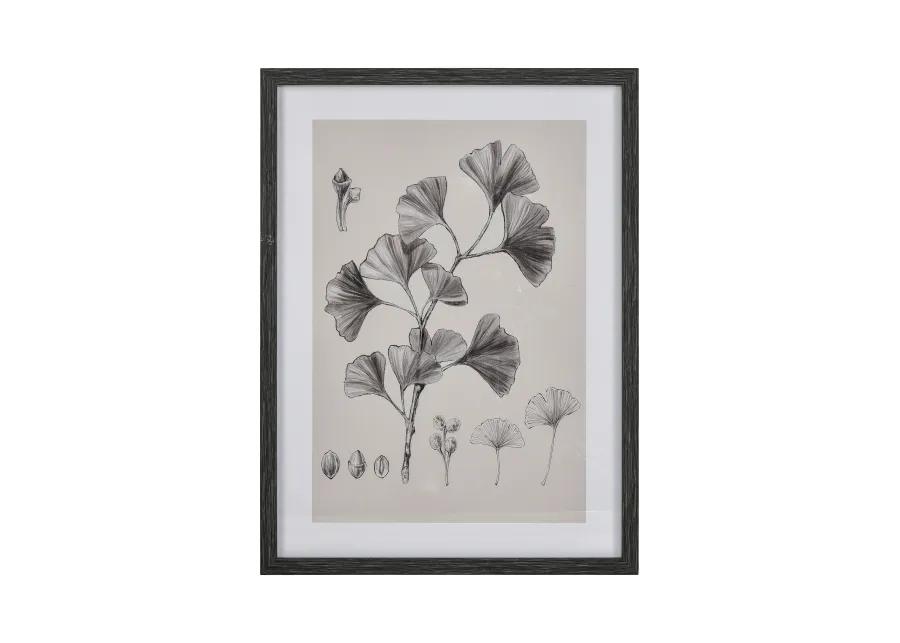 Ginkgo Botanic Wall Art