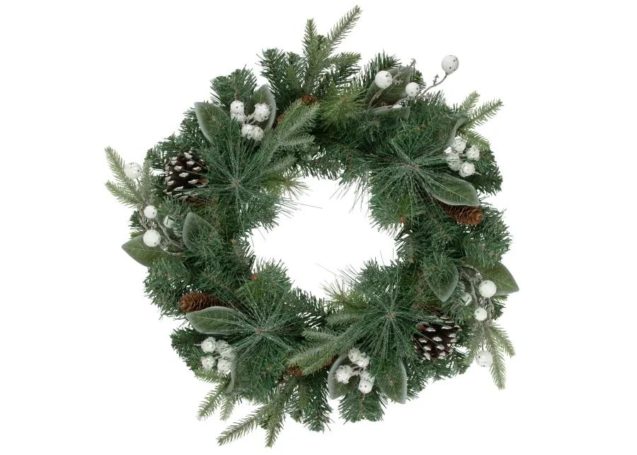 Frosted White Berry and Mixed Pine Artificial Christmas Wreath  24-Inch  Unlit