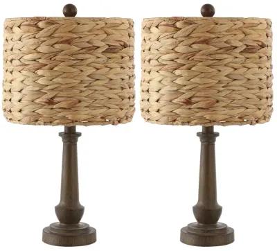 Leona Rustic Farmhouse Handwoven Rattan/Resin LED Table Lamp