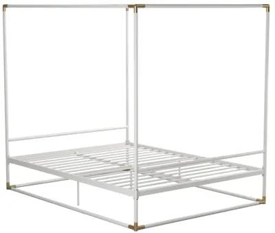 Celeste Canopy Metal Bed