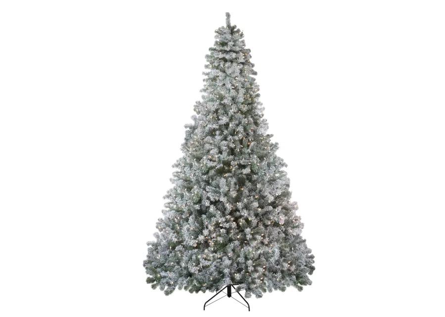 9' Pre-Lit Flocked Winema Pine Artificial Christmas Tree - Clear Lights