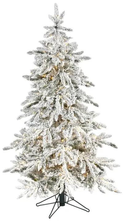 HomPlanti 5 Feet Flocked Grand Northern Rocky Fir Artificial Christmas Tree with 650 Warm Micro (Multifunction with Remote Control) LED Lights, Instant Connect Technology and 386 Bendable Branches