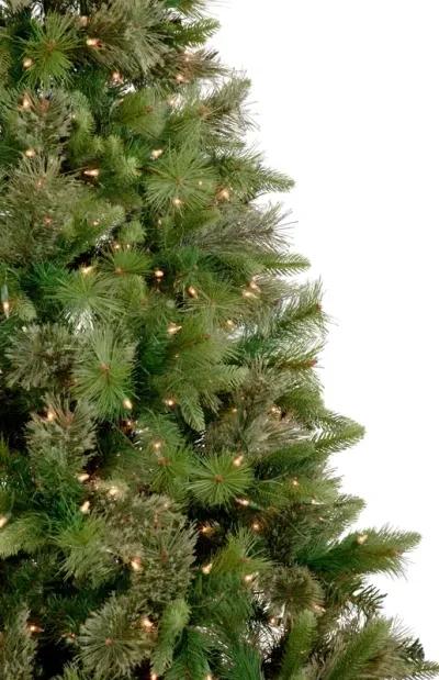 9.5' Pre-Lit Full Kingston Cashmere Pine Artificial Christmas Tree  Clear Lights