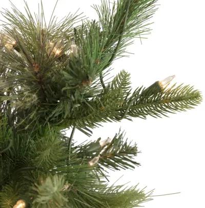 9.5' Pre-Lit Full Kingston Cashmere Pine Artificial Christmas Tree  Clear Lights