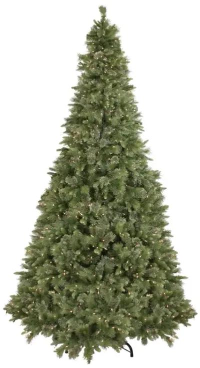 9.5' Pre-Lit Full Kingston Cashmere Pine Artificial Christmas Tree  Clear Lights