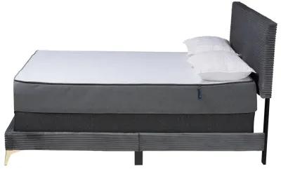 Baxton Studio Abberton Modern Black Velvet Gold Metal Queen Size Panel Bed