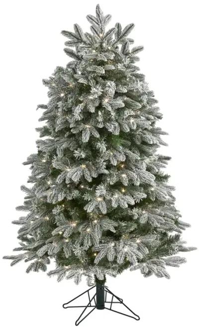 HomPlanti 5 Feet Flocked Colorado Mountain Fir Artificial Christmas Tree with 300 Warm White Microdot (Multifunction) LED Lights with Instant Connect Technology and 511 Bendable Branches