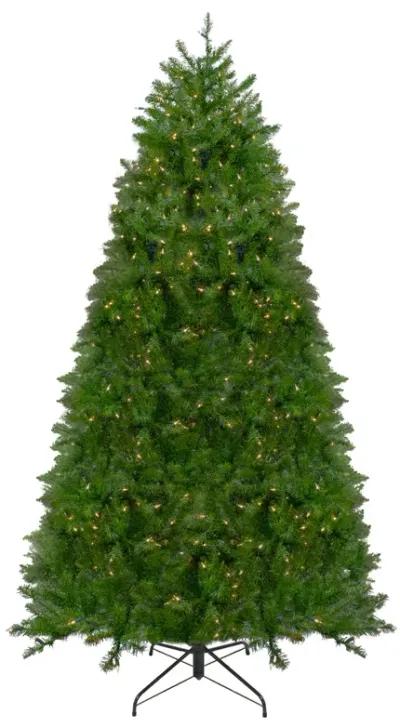 12' Pre-Lit Northern Pine Full Artificial Christmas Tree  Clear Lights