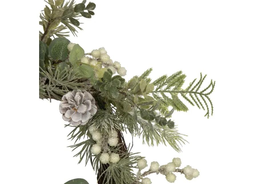 White Berry  Eucalyptus and Pinecone Christmas Wreath  20-Inch  Unlit