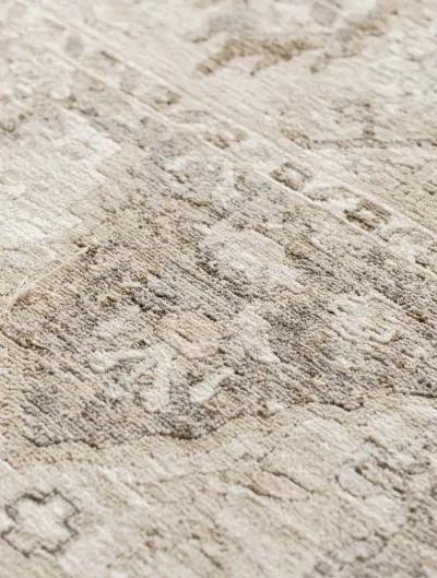 Cyprus CY3 Beige 2'3" x 7'10" Rug