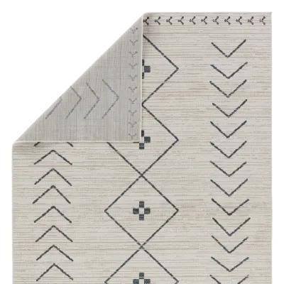 Nadine Taos White 2' x 6' Runner Rug