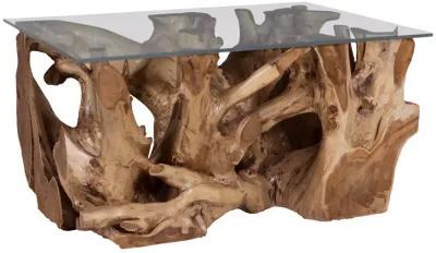 Teak Root Coffee Table