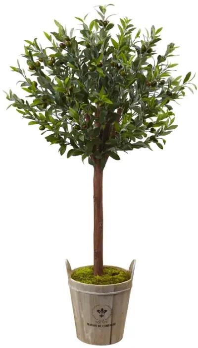 HomPlanti 4.5 Feet Olive Topiary Tree with Farmhouse Planter