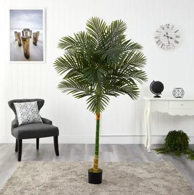 HomPlanti 6 Feet Single Stalk Golden Cane Artificial Palm Tree