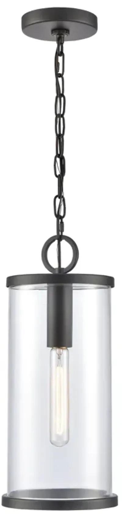 Hopkins Hanging Outdoor Light