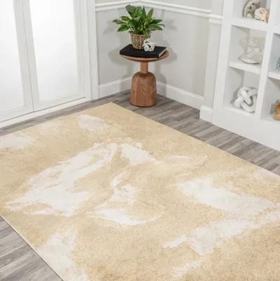 Petalo Abstract Two Tone Modern Area Rug