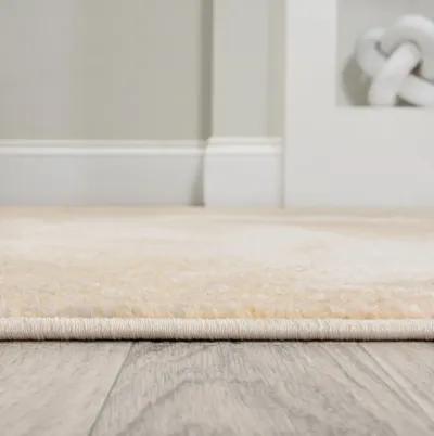 Petalo Abstract Two Tone Modern Area Rug