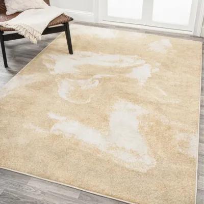 Petalo Abstract Two Tone Modern Area Rug