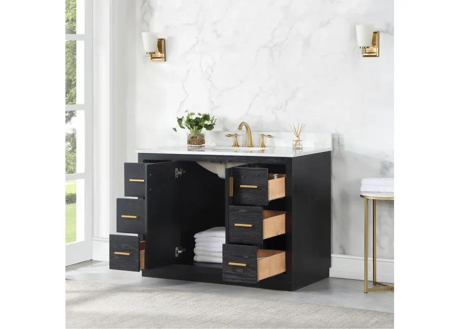 Altair 48 Single Bathroom Vanity Set in Black Oak without Mirror