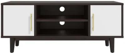 Daxton 43" TV Stand