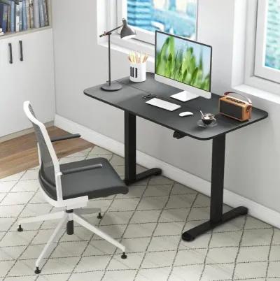 Costway Electric Standing Desk Height Adjustable Sit to Stand Computer Workstation Home Office Natural