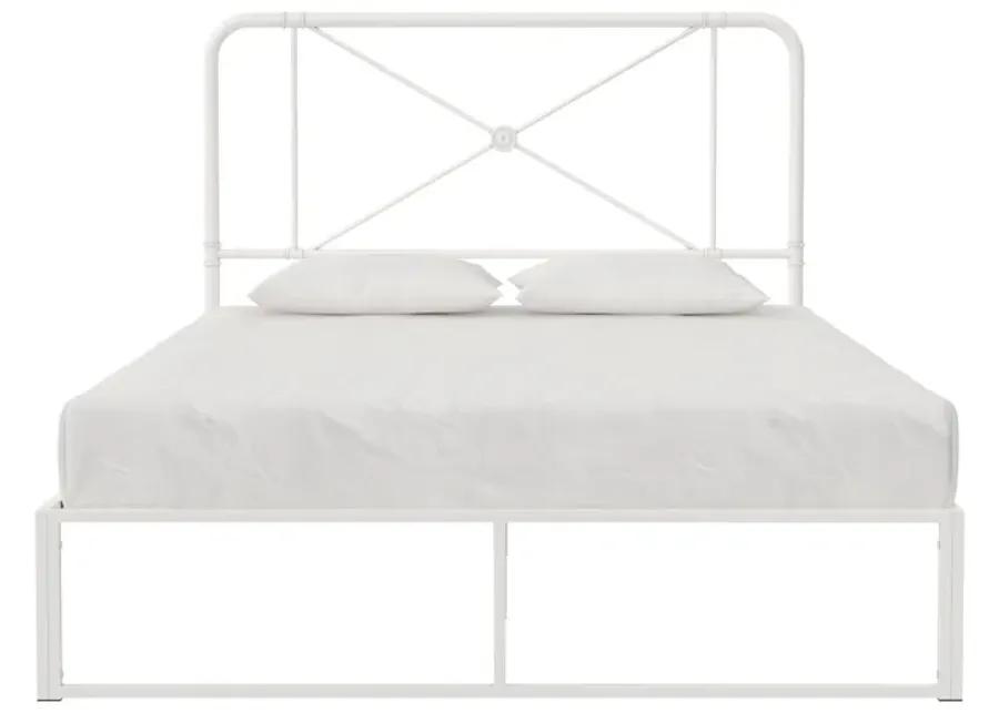 Allysa Metal Headboard