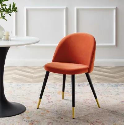 Cordial Performance Velvet Dining Chairs - Set of 2