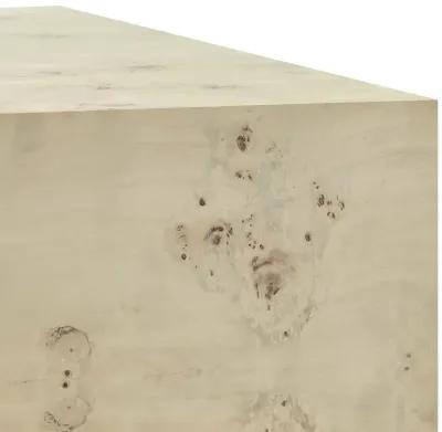 Cosmos 36" Square Burl Wood Coffee Table