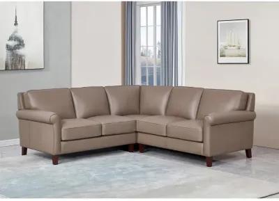 Laguna Top Grain Leather Symmetrical Sectional