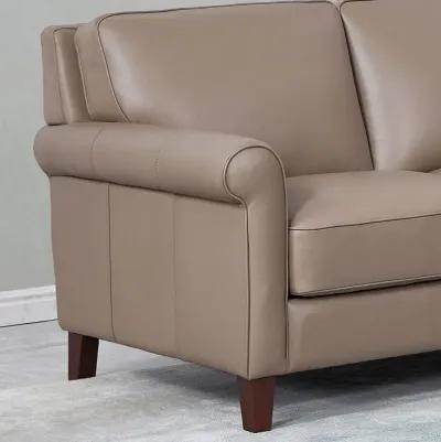 Laguna Top Grain Leather Symmetrical Sectional