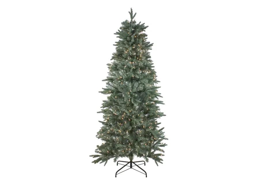 9' Pre-Lit Slim Washington Frasier Fir Artificial Christmas Tree  Clear Lights