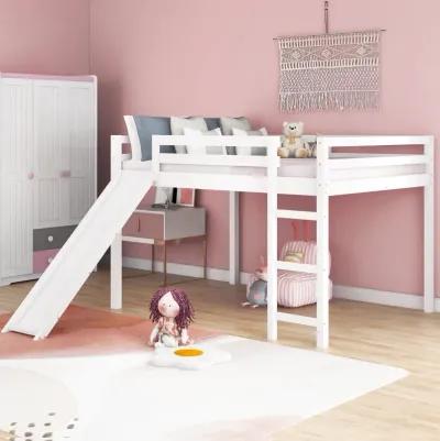 Loft Bed with Slide, Multifunctional Design, Full