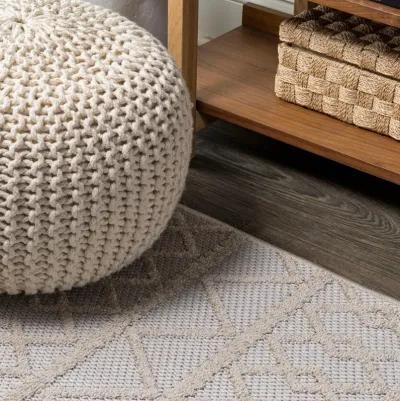 Aylan High-Low Pile Knotted Trellis Geometric Indoor/Outdoor Area Rug