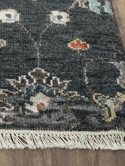 Envision ENV962 2' x 3' Rug