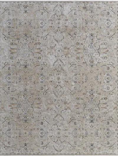 Pasha 39M6F 2' x 3' Taupe/Ivory/Blue Rug