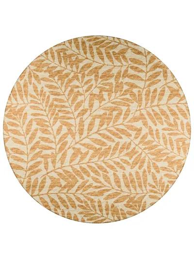 Sedona SN5 Wheat 6' Rug