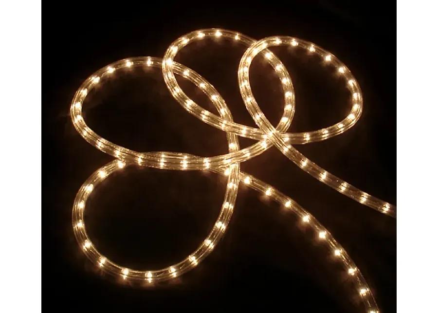 100ft Clear Incandescent Outdoor Christmas Rope Lights