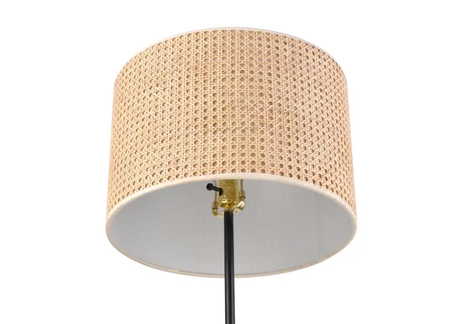 Baitz Floor Lamp