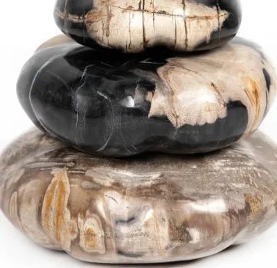 Petrified Wood Sculpture