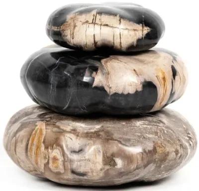 Petrified Wood Sculpture