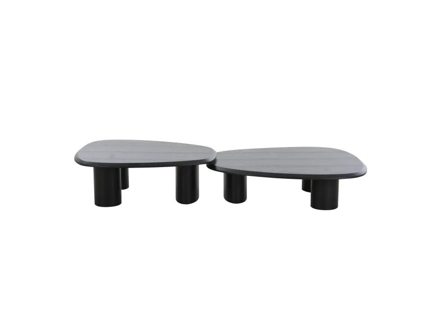 Cid Sami Coffee Table, Set of 2, Freeform Shape, Black Solid Wood Frame - Benzara