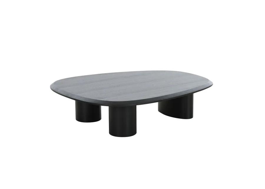 Cid Sami Coffee Table, Set of 2, Freeform Shape, Black Solid Wood Frame - Benzara