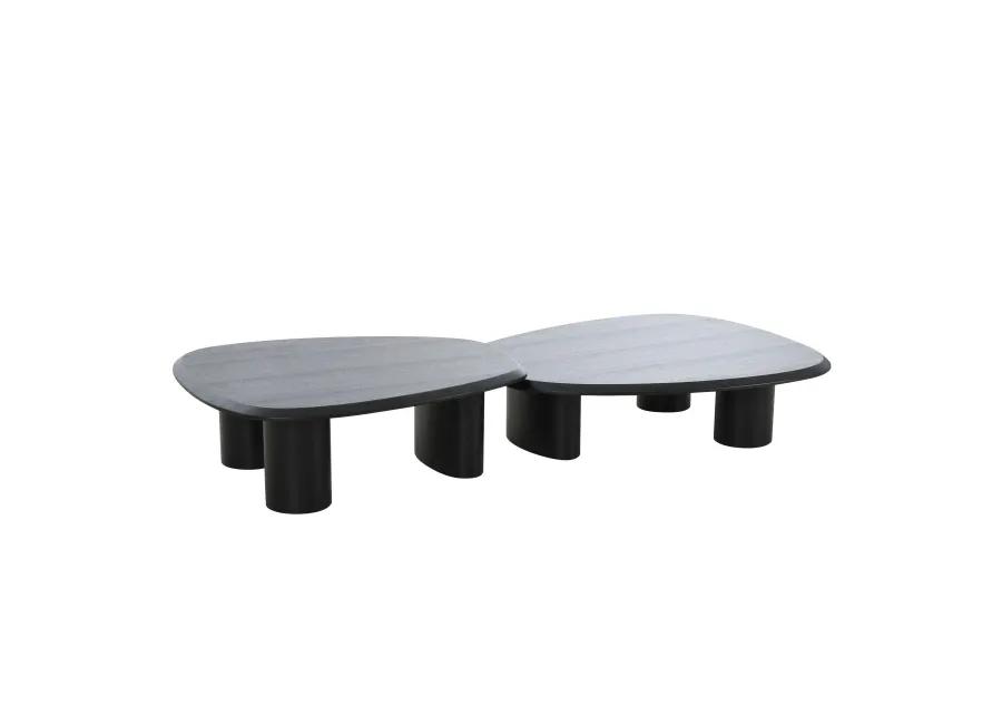 Cid Sami Coffee Table, Set of 2, Freeform Shape, Black Solid Wood Frame - Benzara